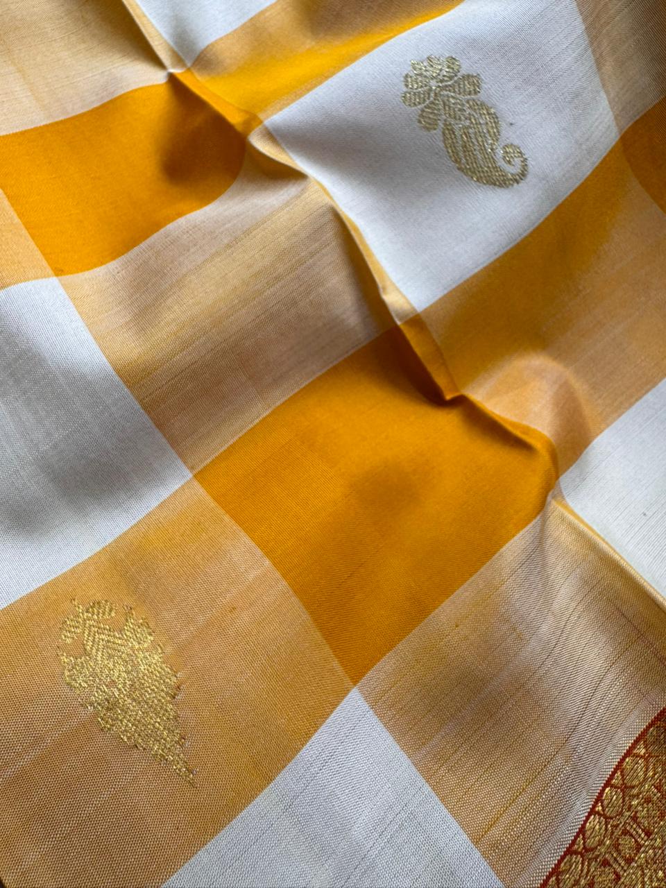 Pure Kanchipuram