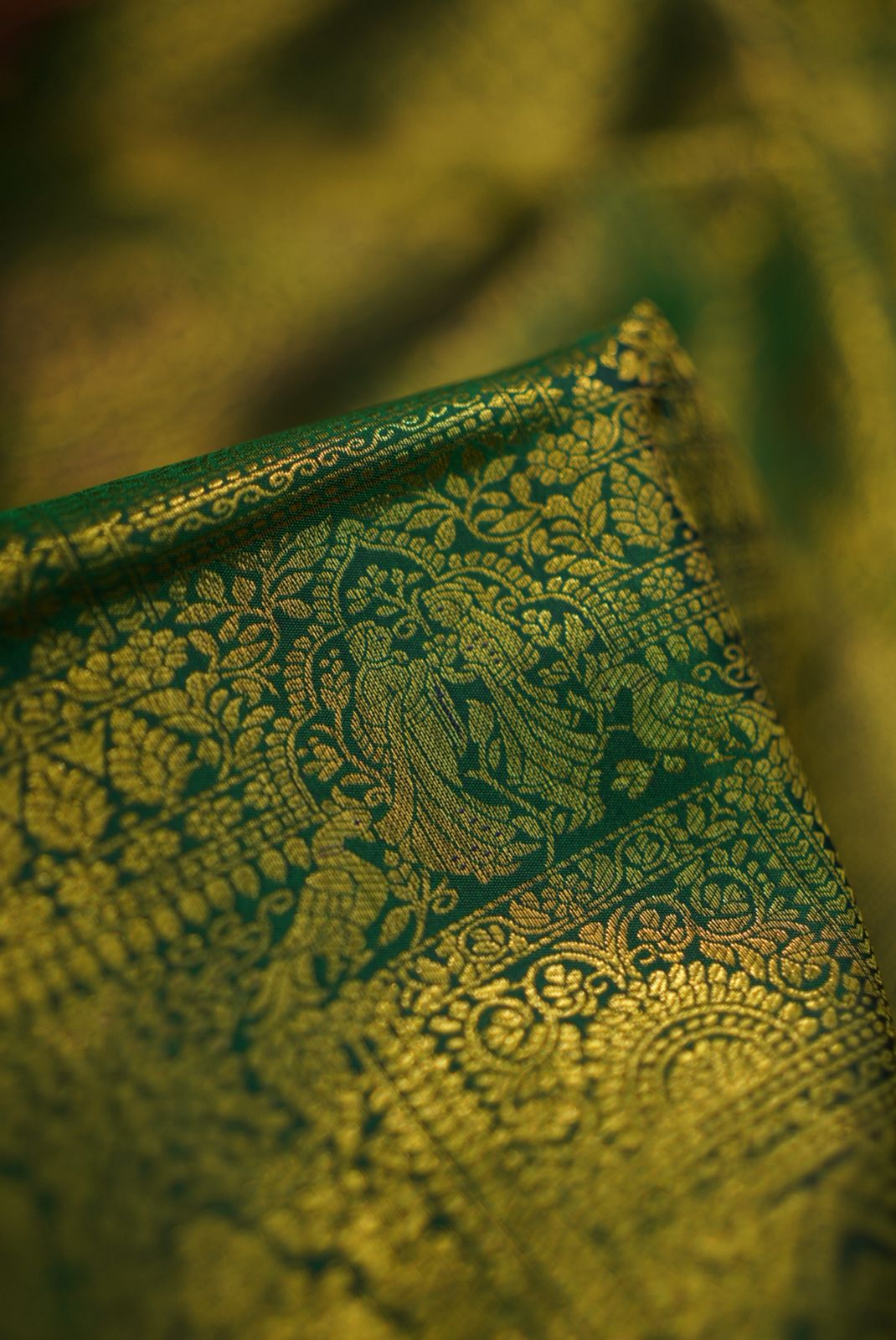 Pure tissue Kanjivaram