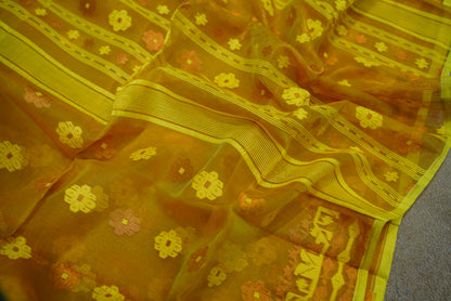 Bengal Dhakai