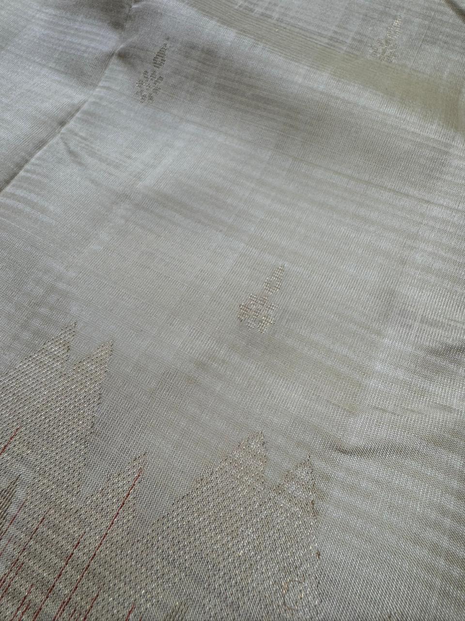 Pure Kanchipuram