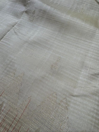 Pure Kanchipuram