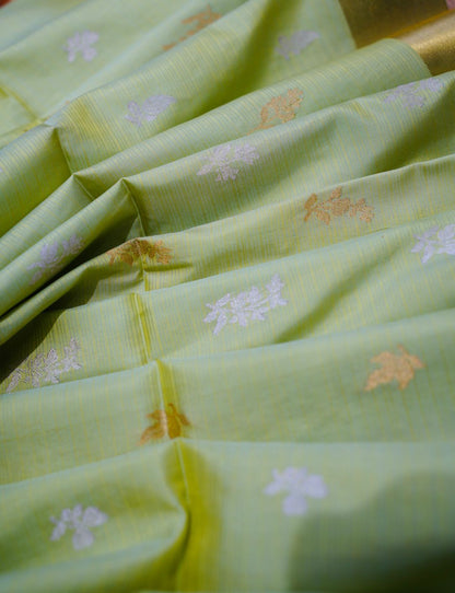 Pattu Kanchipuram