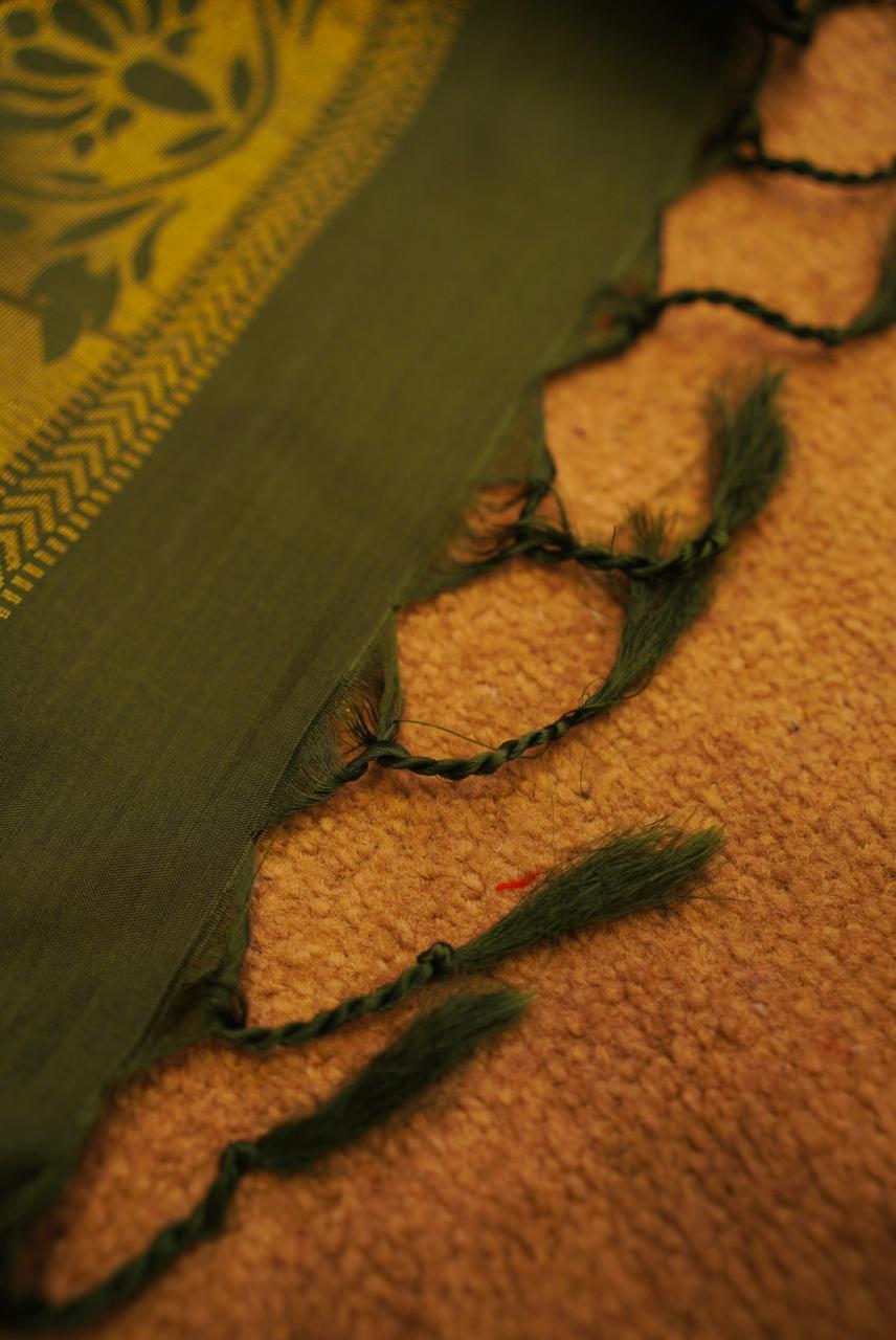 Pattu Kanchipuram