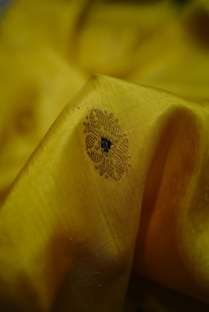 Pure silk Gadwal