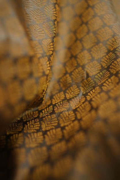 Pure silk Gadwal